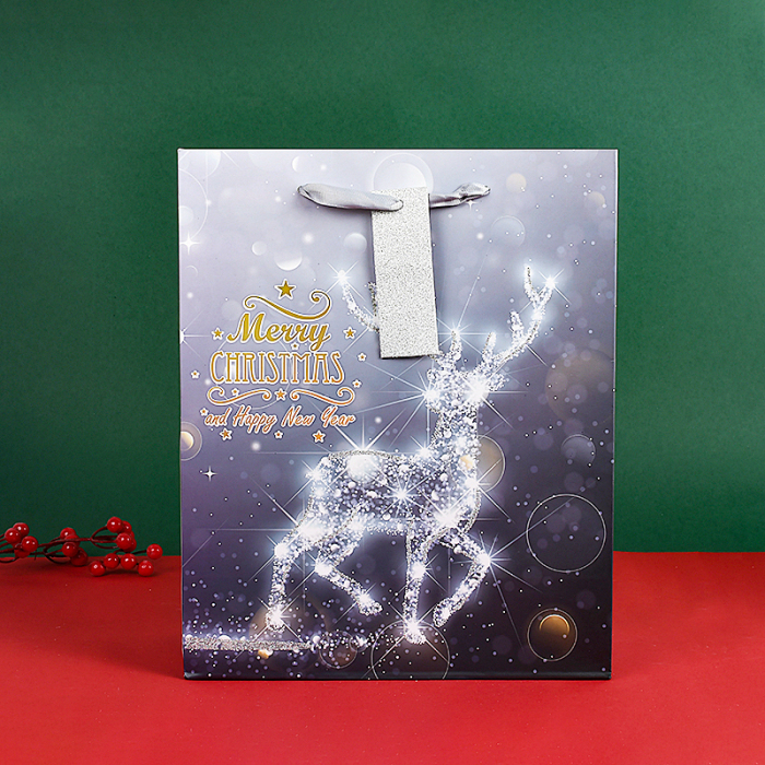Aurora Gift Bag, Medium Vertical