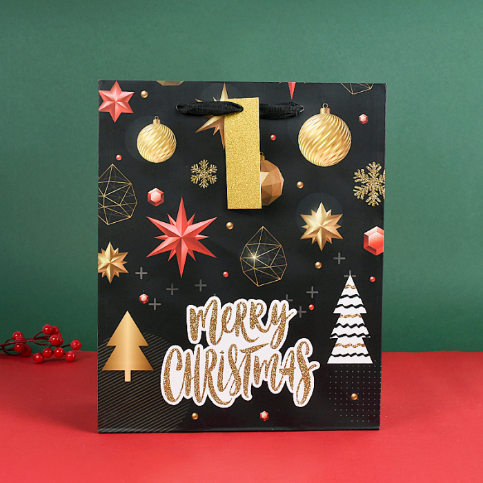 Gift Bag, Medium Vertical