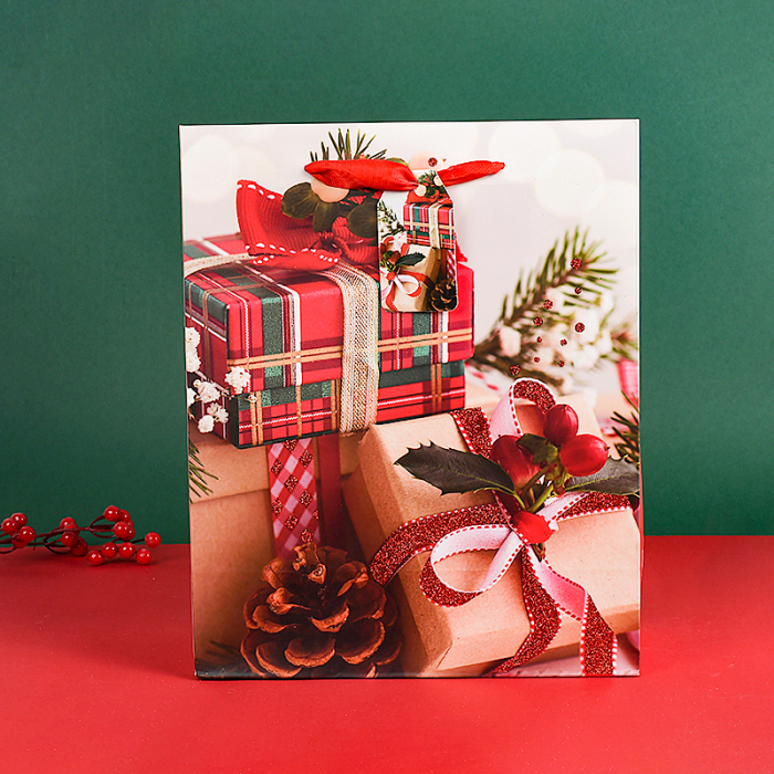 Christmas Gift Bag, Large Vertical